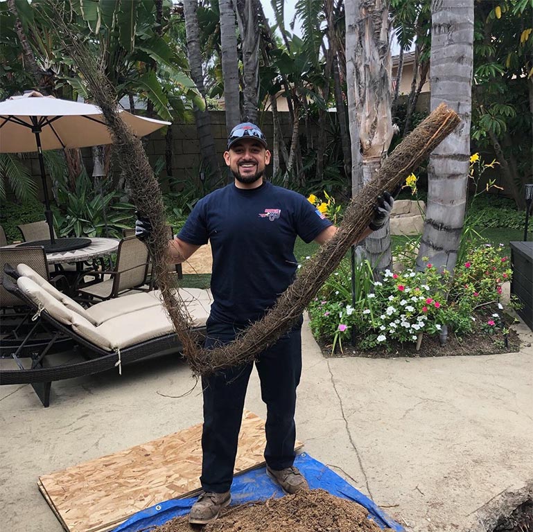 Sewer Repair in Glendale, CA