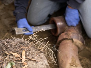 How to Get Rid of Roots in Sewer Line 