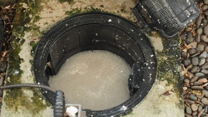 Avoid a Septic Backup: Watch for These Red Flags